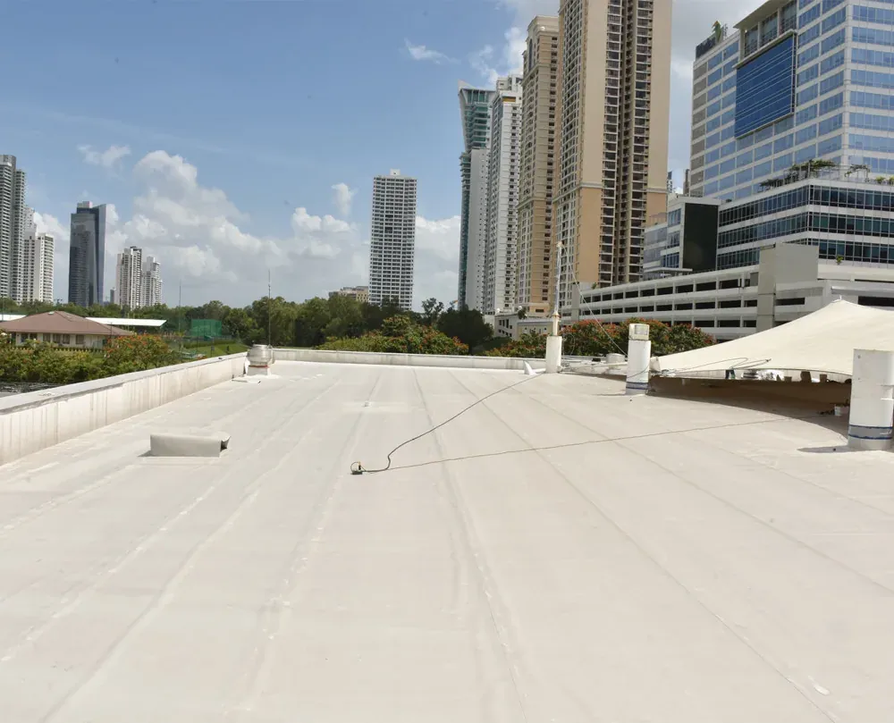 Business Park, Costa del Este