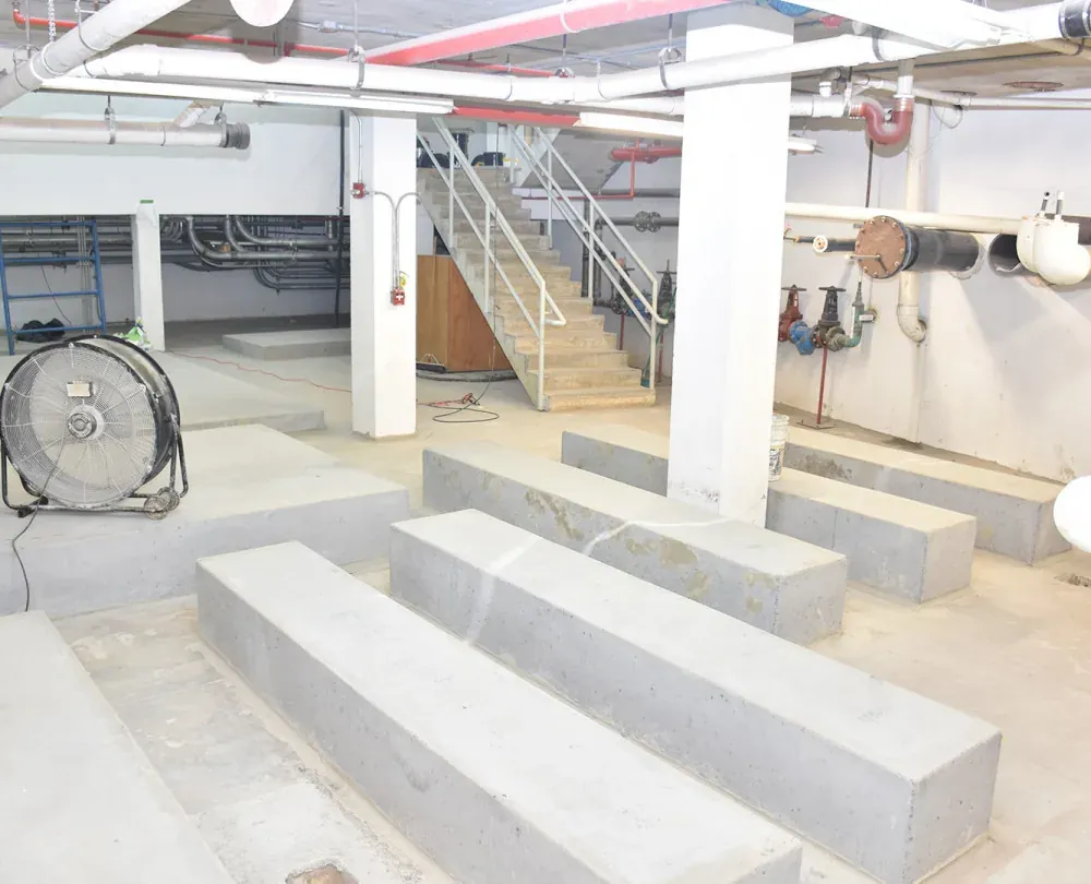 Biomuseo, foto 6